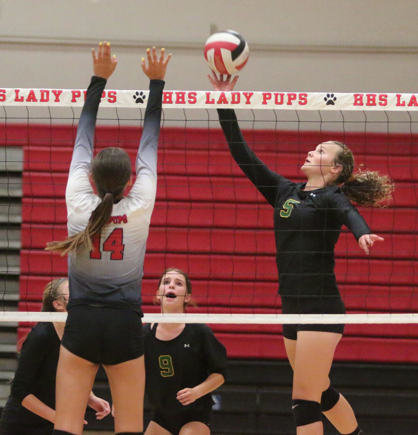 Golden Bears open season with victory over Bullpups